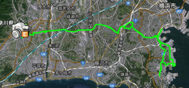 trip  trip